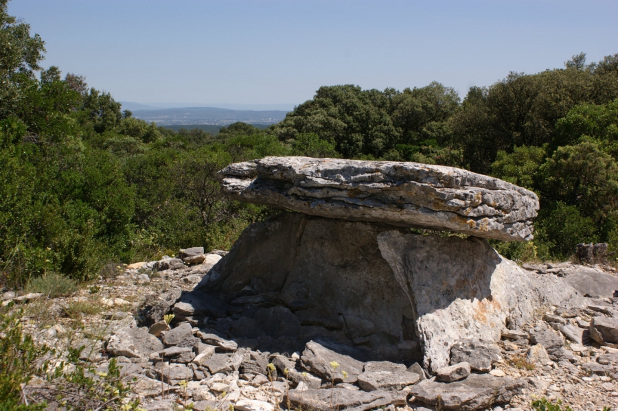le-bois-des-geantes-est-une-necropole-prehistorique-situee-a-bidon-dans-le-bois-de-laoul-il-renferme-six-dolmens-chaque-dolmen-est-compose-de-plusieurs-grandes-dalles-plates-et-epaisses-ex